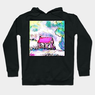 Cottage in new zealand Hoodie